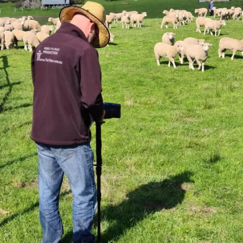 Video and Digital Communications, Warrnambool